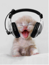 chat chantant-orgue de barbarie