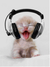 chat chantant-orgue de barbarie